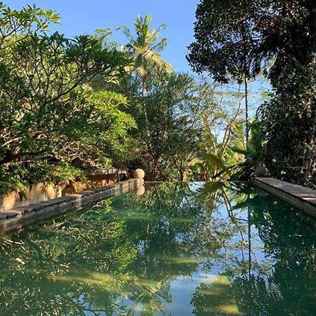 Sri Yoga Shala Bed and Breakfast Unawatuna Εξωτερικό φωτογραφία
