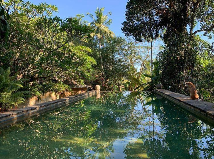 Sri Yoga Shala Bed and Breakfast Unawatuna Εξωτερικό φωτογραφία